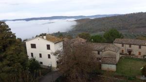 Príroda v okolí of the country house