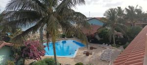 an overhead view of a swimming pool with palm trees at Appartamento t0 n 7 situato complesso turistico porto antico 2 in Santa Maria