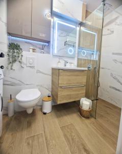 un bagno con un water e un lavandino di Ultracentral Luxury Apartament a Curtea de Argeş