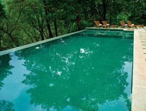Rainforest Resort内部或周边的泳池