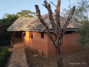 a house with a thatched roof and a tree at Teen Ranch Kenya in Amboseli