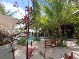 Taman di luar Secret Paradise Mahahual