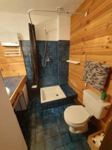 ein Holzbadezimmer mit Toilette und Dusche in der Unterkunft Studio cosy à la station in Eaux-Bonnes
