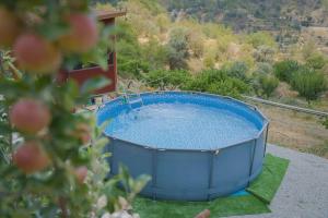 Bazén v ubytování Agros Glamping Boutique nebo v jeho okolí