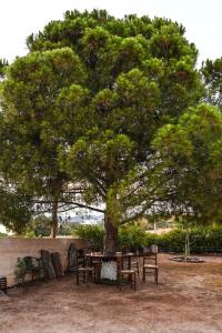 Foto dalla galleria di morfo's sunset a Sounio