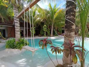 Kolam renang di atau dekat dengan Secret Paradise Mahahual