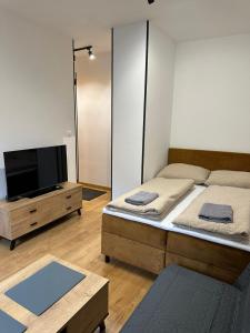 Televízia a/alebo spoločenská miestnosť v ubytovaní Apartmán BB-centrum3