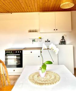 Kuchyň nebo kuchyňský kout v ubytování ZenHouseApartment