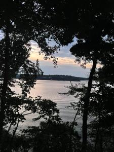 Naturlandskabet i nærheden af lejligheden