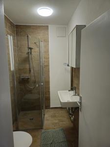 a bathroom with a shower and a sink at Ferienwohnung Illenschwang in Wittelshofen +33 photos