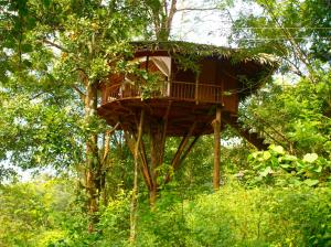 Rainforest Resort外面的花园