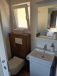 a bathroom with a sink and a toilet and a mirror at Mobile home Greta in Klenovica