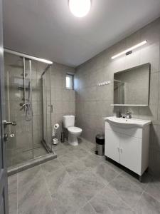 Un baño con ducha, lavabo e inodoro. en Salin Home, en Ocna-Mureşului