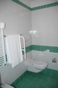 a green and white bathroom with a toilet and a shower at Hotel Fiera in Bolzano