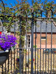 a fence with a pot of flowers on it at Eco Indigo in Dunbar
