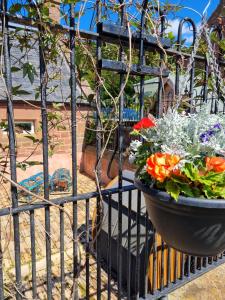 a pot of flowers on a iron fence at Eco Indigo in Dunbar