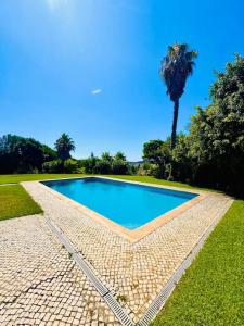 a swimming pool in a field with a palm tree at Casa do Mar Cascais in Alcabideche