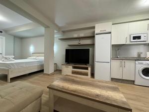 a large living room with a bed and a kitchen at Oasis Cordobés in Córdoba