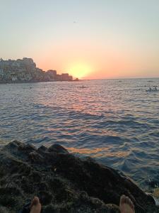 Φυσικό τοπίο κοντά σε αυτό το διαμέρισμα