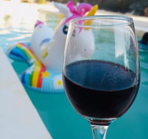 ein Glas Rotwein neben einem Pool in der Unterkunft Beryllos Bacalar in Bacalar