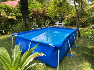 a large blue pool in a yard with a table at Vacation Garden Home with kiddie pool, central aircon, Netflix, billiards, table tennis and karaoke in Cavite