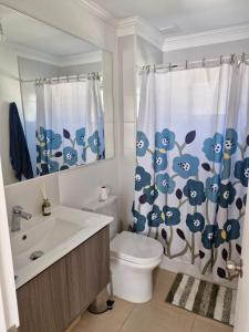 een badkamer met toilet en douchegordijn bij Hermosa casa en pucon in Pucón