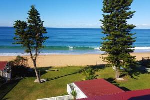 - Vistas a una playa con 2 pinos en Victorian Beachfront Apartment with Ocean Views - The Coachhouse, en Narrabeen