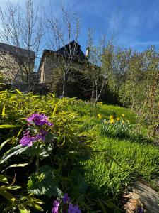 a garden with flowers in front of a house at nature Aubrac in Les Salces