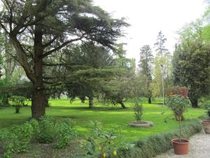 A garden outside Agriturismo Villa Selvatico