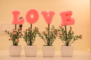 Foto de la galeria de Fun Homestay a Magong