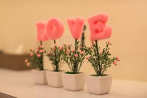 Foto de la galeria de Fun Homestay a Magong
