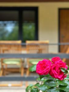 Gallery image of Spreewald-Hideaway, Bungalow mit Pool und Kamin in Kittlitz +29 photos