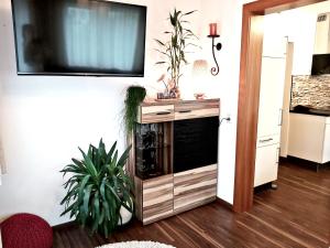 Kuchyň nebo kuchyňský kout v ubytování Apartments Fasl