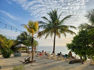Foto dalla galleria di The Sunset Villa a Dhiffushi