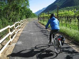 a person riding a bike down a road at HOTEL BELVEDERE in Rivalta di Brentino