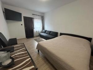 a bedroom with a bed and a couch in it at Siesta Pension in Miercurea-Ciuc