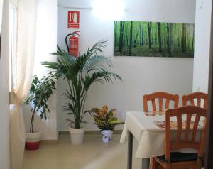 Fotografie z fotogalerie ubytování Pension El Parque v destinaci Calpe