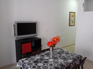 a table with a vase of flowers and a tv at Bonito apartamento con barbacoa in Benalmádena