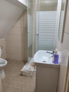 a bathroom with a sink and a shower and a toilet at Pensiunea Andreea in Mărgineni
