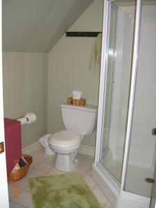 a bathroom with a toilet and a shower at Ye Olde Argyler Lodge in Pubnico