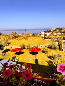 a group of red umbrellas on a field with flowers at B&B Antico Casale in Fuscaldo