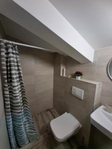 a bathroom with a toilet and a sink at Amelia in Radanovići +11 photos