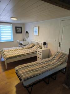 Galeriebild der Unterkunft Large apartment with parking in Palanga