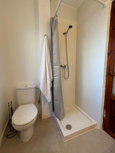 a bathroom with a toilet and a shower at Cal Ferrer in Benimeli