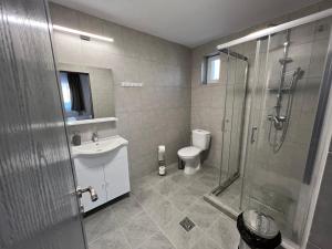 Un baño con ducha, inodoro y lavabo. en Salin Home, en Ocna-Mureşului 11 fotos más