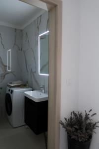 a bathroom with a sink and a washing machine at Art Villa Malija in Portorož