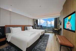 TV a/nebo společenská místnost v ubytování Park Inn by Radisson Hangzhou Fuyang Wildlife