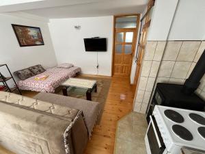 - un salon avec un canapé et une cuisinière dans l'établissement Apartment Phillip, à Žabljak
