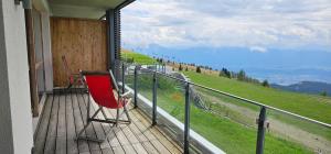 Příroda nedaleko apartmánu + 2 fotografie