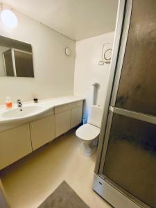 a bathroom with a toilet and a sink and a shower at Summer house close to the beach with 12 beds in Höllviken +17 photos